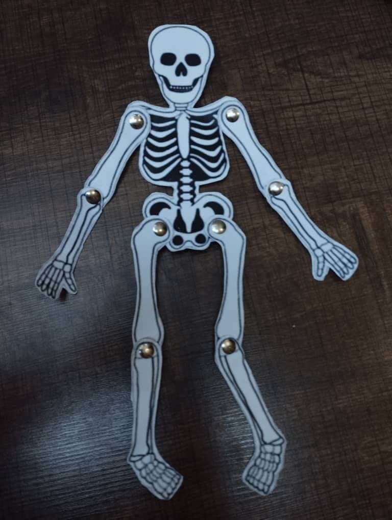 فعالیت علوم (پایه پنجم)