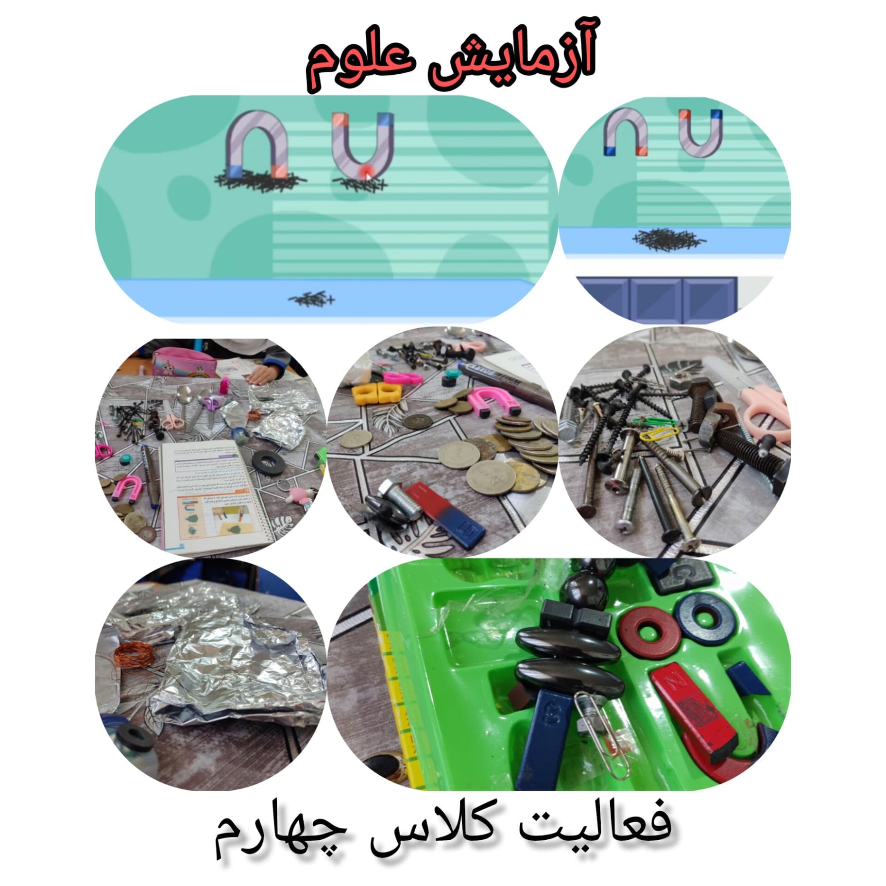 فعالیت علوم پایه چهارم